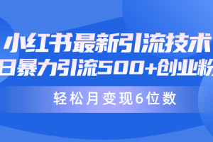 （9871期）日引500+月变现六位数24年最新小红书暴力引流兼职粉教程