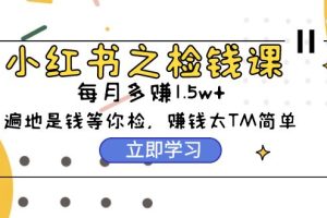 （9890期）小红书之检钱课：从0开始实测每月多赚1.5w起步，赚钱真的太简单了（98节）