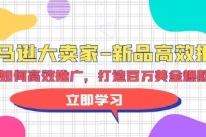 （9945期）亚马逊 大卖家-新品高效推广，分享如何高效推广，打造百万美金爆款单品