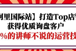 （9976期）【阿里国际站】打造Top店铺-获得优质询盘客户，95%的讲师不说的运营技巧