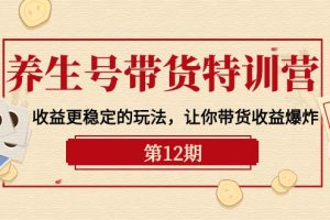 （10110期）养生号带货特训营【12期】收益更稳定的玩法，让你带货收益爆炸-9节直播课