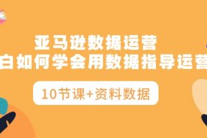 （10158期）亚马逊数据运营，小白如何学会用数据指导运营（10节课+资料数据）