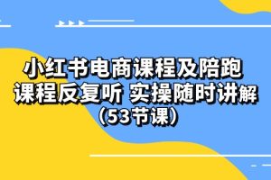 (10170期）小红书电商课程陪跑课 课程反复听 实操随时讲解