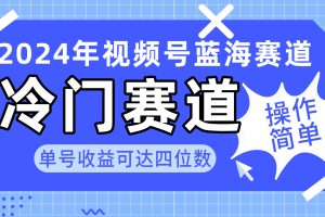 （10195期）2024视频号冷门蓝海赛道，操作简单 单号收益可达四位数（教程+素材+工具）