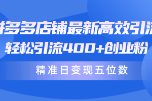 （10041期）拼多多店铺最新高效引流术，轻松引流400+创业粉，精准日变现五位数！