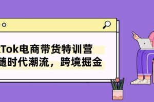 （10730期）TikTok电商带货特训营，跟随时代潮流，跨境掘金（8节课）