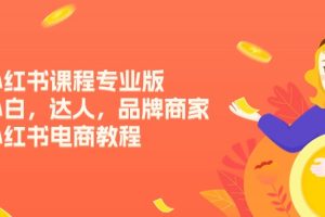 （11022期）小红书课程专业版，小白，达人，品牌商家，小红书电商教程（15节）