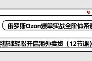 （10555期）俄罗斯 Ozon-爆单实战全阶体系课，零基础轻松开启海外卖货（12节课）