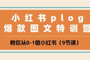 （10553期）小红书 plog爆款图文特训营，教你从0-1做小红书（9节课）