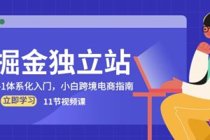 （10536期）掘金 独立站，0-1体系化入门，小白跨境电商指南（11节视频课）