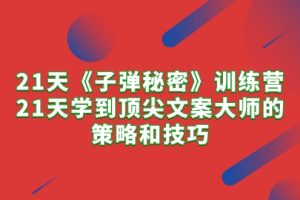 （10210期）21天《子弹秘密》训练营，21天学到顶尖文案大师的策略和技巧