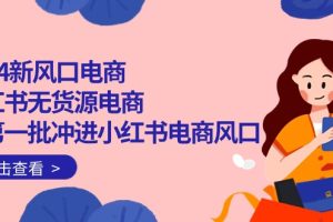 （10129期）2024新风口电商，小红书无货源电商，带第一批冲进小红书电商风口（18节）