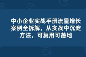 （10889期）中小 企业 实操手册-流量增长案例拆解，从实操中沉淀方法，可复用可落地