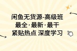 （10886期）闲鱼无货源-高级班，最全·最新·最干，紧贴热点 深度学习（17节课）