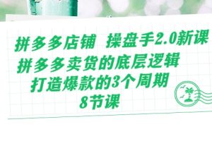 （10859期）拼多多店铺 操盘手2.0新课，拼多多卖货的底层逻辑，打造爆款的3个周期-8节