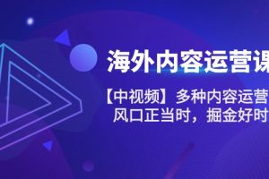 （10833期）海外内容 运营课【中视频】多种内容运营玩法 风口正当时 掘金好时机-101节