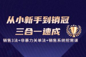 （10799期）从小新手到销冠 三合一速成：销售3法+非暴力关单法+销售系统挖需课 (27节)