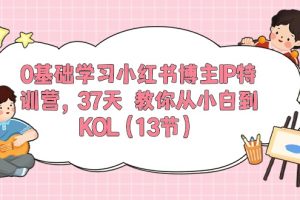 （10764期）0基础学习小红书博主IP特训营，37天 教你从小白到KOL（13节）