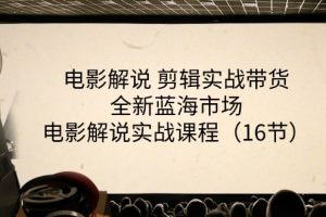 （11367期）电影解说 剪辑实战带货全新蓝海市场，电影解说实战课程（16节）