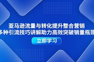 （11335期）亚马逊流量与转化提升整合营销，多种引流技巧讲解助力高效突破销量瓶颈