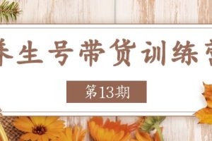 （11275期）养生号-带货训练营【第13期】收益更稳定的玩法，让你带货收益爆炸