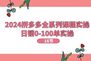 （11222期）2024拼多多全系列课程实操，日销0-100单实操【16节课】