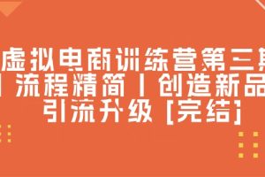 （10960期）虚拟电商训练营第三期丨流程精简丨创造新品丨引流升级