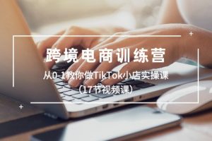 （10946期）跨境电商训练营：从0-1教你做TikTok小店实操课（17节视频课）