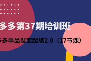 （10835期）拼多多第37期培训班：拼多多单品裂变起爆2.0（17节课）