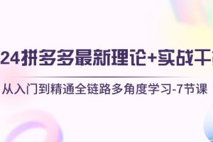 （10816期）2024拼多多 最新理论+实战干货，从入门到精通全链路多角度学习-7节课