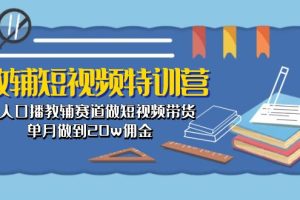 （10801期）教辅-短视频特训营： 素人口播教辅赛道做短视频带货，单月做到20w佣金