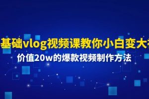 （11517期）0基础vlog视频课教你小白变大神：价值20w的爆款视频制作方法