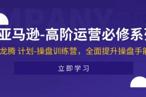 （11625期）亚马逊-高阶运营必修系列，龙腾 计划-操盘训练营，全面提升操盘手能力