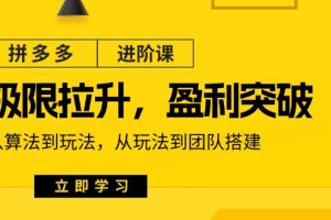 （11435期）拼多多·进阶课：极限拉升/盈利突破：从算法到玩法 从玩法到团队搭建-18节