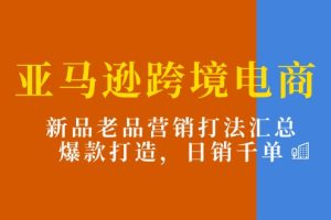 （11433期）亚马逊跨境电商：新品老品营销打法汇总，爆款打造，日销千单