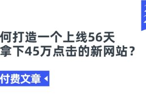 （11420期）某付费文章《如何打造一个上线56天就拿下45万点击的新网站？》