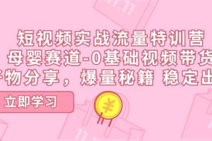 （11373期）短视频实战流量特训营，母婴赛道-0基础带货，好物分享，爆量秘籍 稳定出单