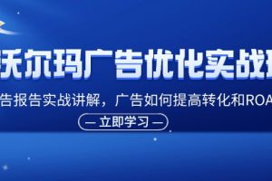 （11847期）沃尔玛广告优化实战班，广告报告实战讲解，广告如何提高转化和ROAS等