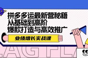 （12260期）拼多多运最新营秘籍：业绩 增长实战课，从基础到高阶，爆款打造与高效推广