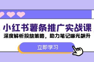 （12289期）小红书-薯 条 推 广 实战课：深度解析投放策略，助力笔记曝光飙升