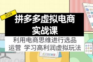 （11920期）拼多多虚拟电商实战课：利用电商思维进行选品+运营，学习高利润虚拟玩法