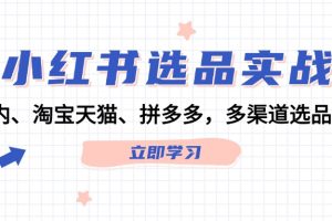 （12443期）小红书选品实战：站内、淘宝天猫、拼多多，多渠道选品策略