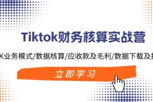 （11978期）Tiktok财务核算实战营：TK业务模式/数据核算/应收款及毛利/数据下载及报表