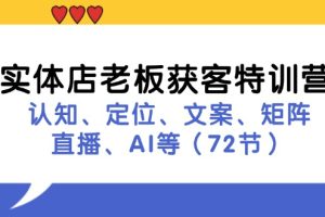 （11991期）实体店老板获客特训营：认知、定位、文案、矩阵、直播、AI等（72节）