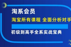 （12055期）淘系会员【淘宝所有课程，全面分析对手】，初级到高手全系实战宝典