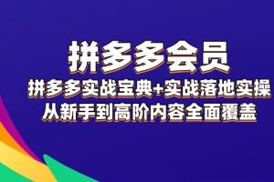 （12056期）拼多多 会员，拼多多实战宝典+实战落地实操，从新手到高阶内容全面覆盖