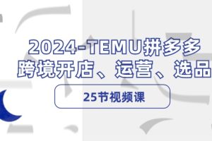 （12106期）2024-TEMU拼多多·跨境开店、运营、选品（25节视频课）