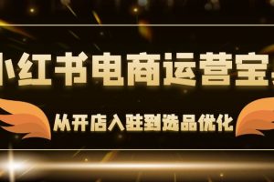 （12497期）小红书电商运营宝典：从开店入驻到选品优化，一站式解决你的电商难题