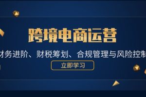 （12592期）跨境电商运营：财务进阶、财税筹划、合规管理与风险控制