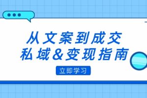 （12641期）从文案到成交，私域&变现指南：朋友圈策略+文案撰写+粉丝运营实操